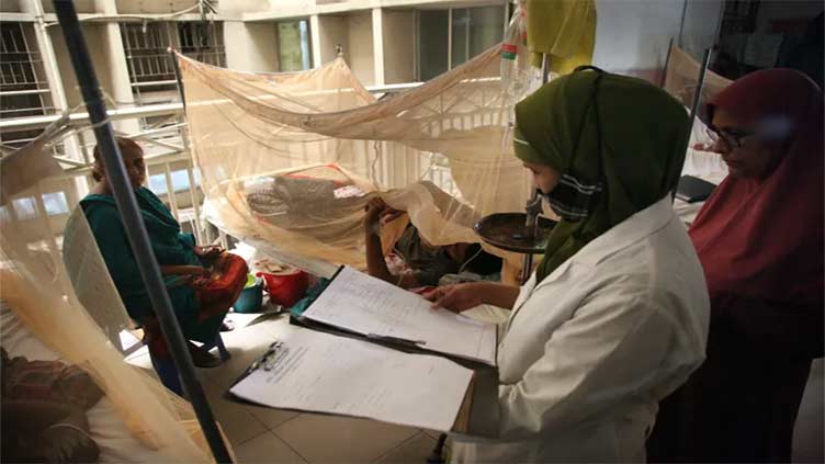 Dengue 'epidemic' claims 176 lives in Bangladesh