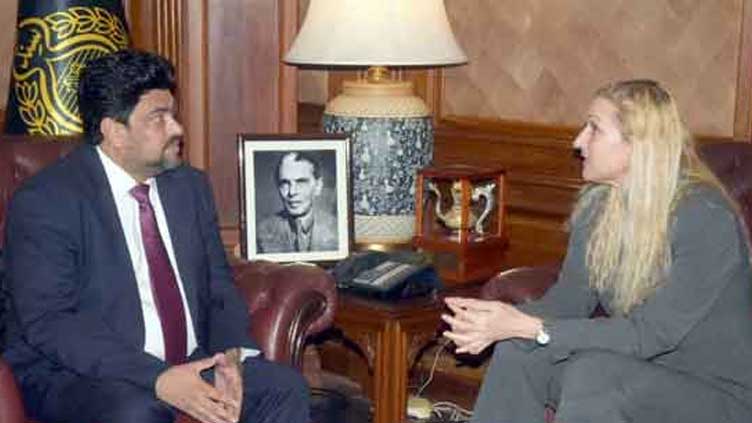 Sindh governor, US Consul General exchange views on investment potential