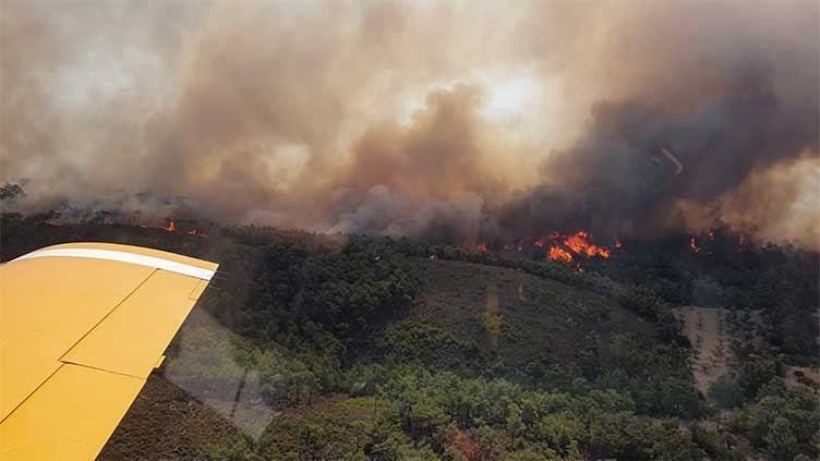 French firefighters battle wildfire close to Nice airport