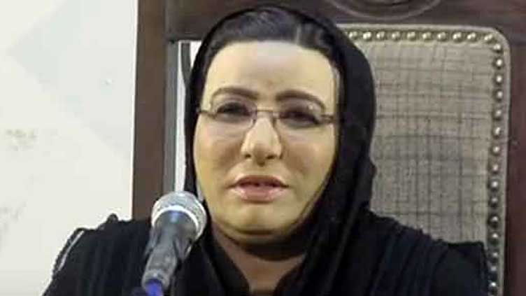 IPP to formally take off on Aug 14: Firdous