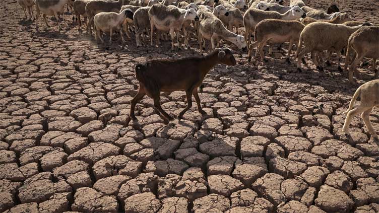 Drought-hit N.Africa turns to purified sea and wastewater