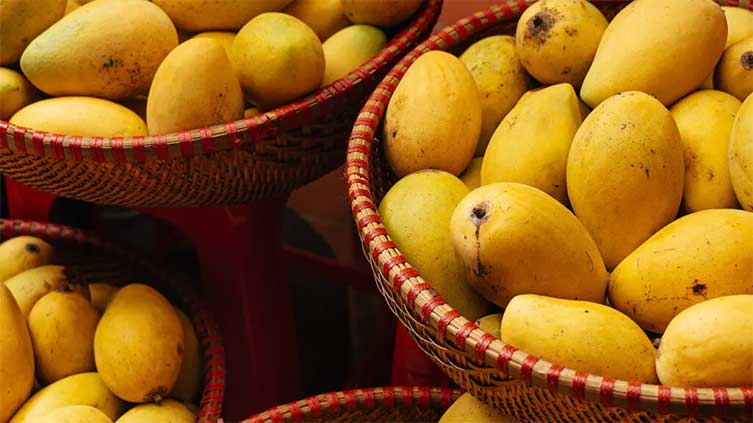 Overuse of mangoes can trigger health issues, warn doctors 