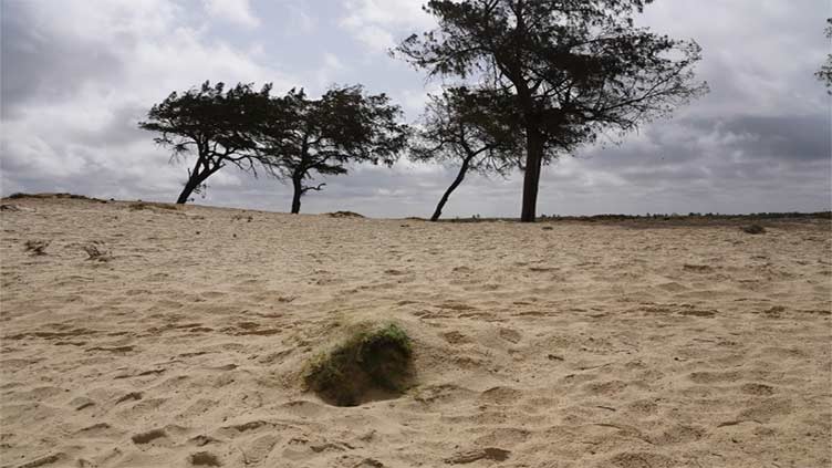 As more migrants go missing at sea, many say bodies end up on Senegal's beaches in unmarked graves