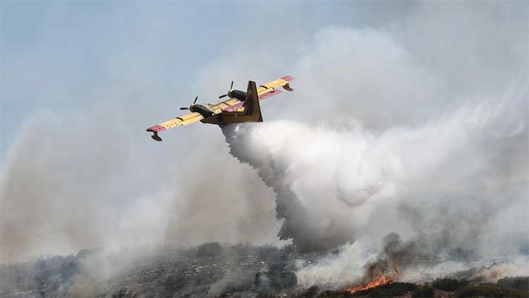 Greek ecosystems face increasing fire risk, experts say