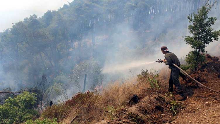 After quake, Syria's northern coast ravaged by wildfires
