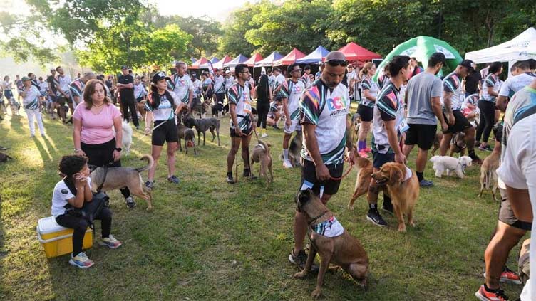Over 150 dogs join race to support Venezuelan shelters