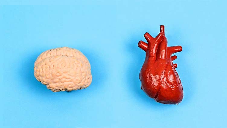 Heart attack adds six years to brain age: study