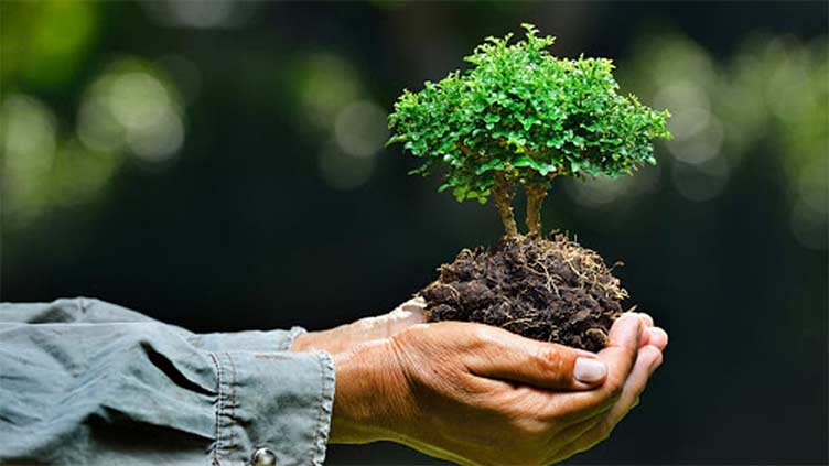 World Environment Day being observed today