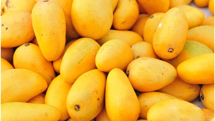 Pakistani mangoes land in China via newly opened cargo route
