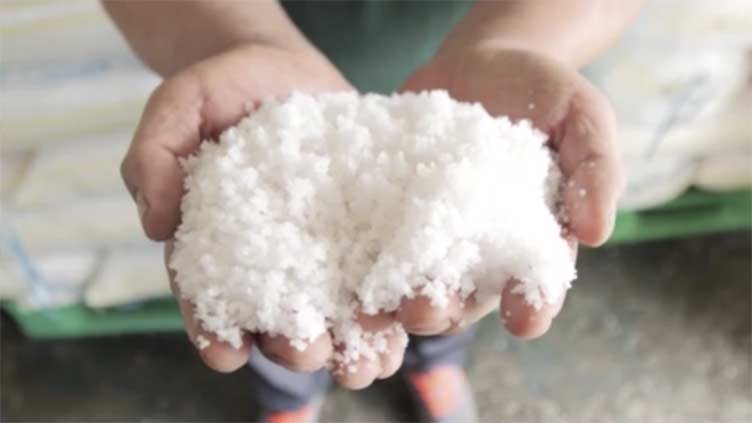 South Korea sea salt demand grows ahead of Japan's Fukushima contaminated water release