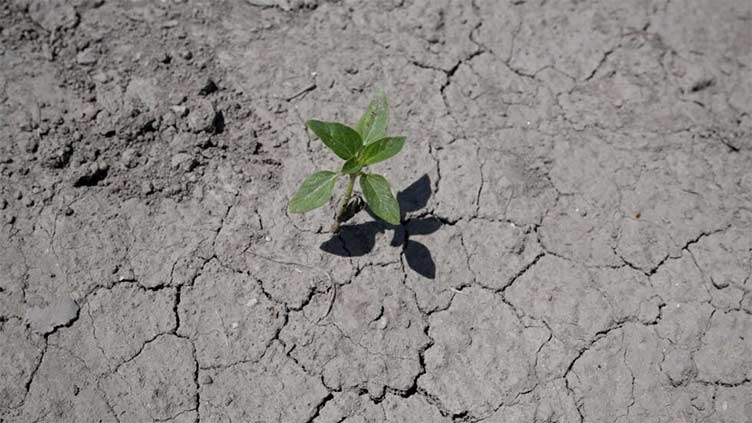 France's environment minister shares 'serious concerns' of another dry summer