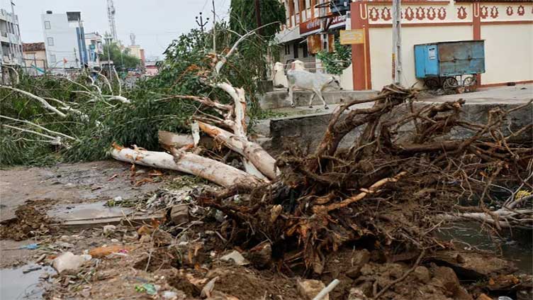 Cyclone Biparjoy damages power lines, uproots trees as it makes landfall in India