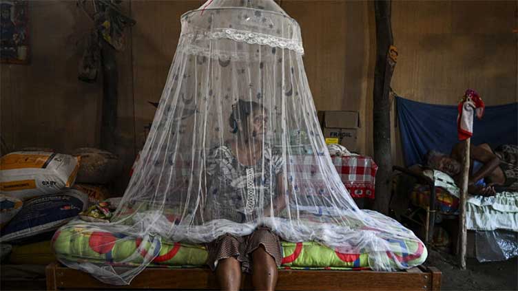 Brimful clinics, cemeteries as dengue ravages Peru