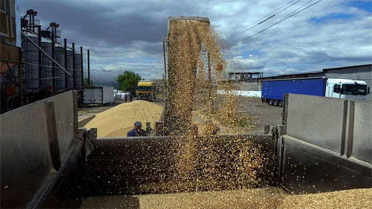 Ukraine starts grain harvest as war rages on