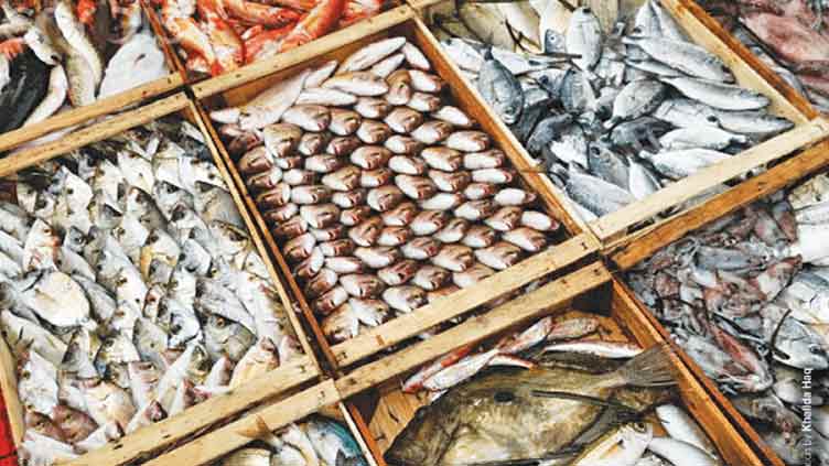 Seafood exports up 17.13pc to $456m during July-May 2022-23