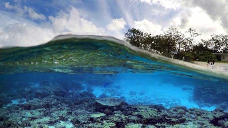 UN Adopts World's First Treaty To Protect High Seas Biodiversity ...