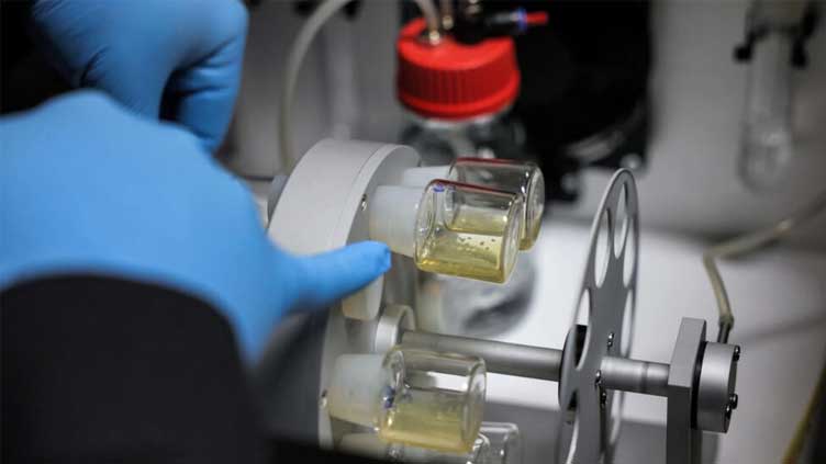 Lab-grown human embryo models spark calls for regulation