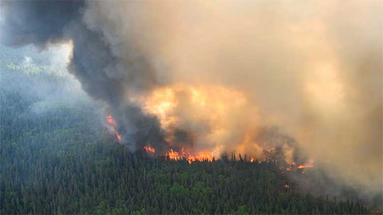 Canada's wildfires intensification increasing management problems 