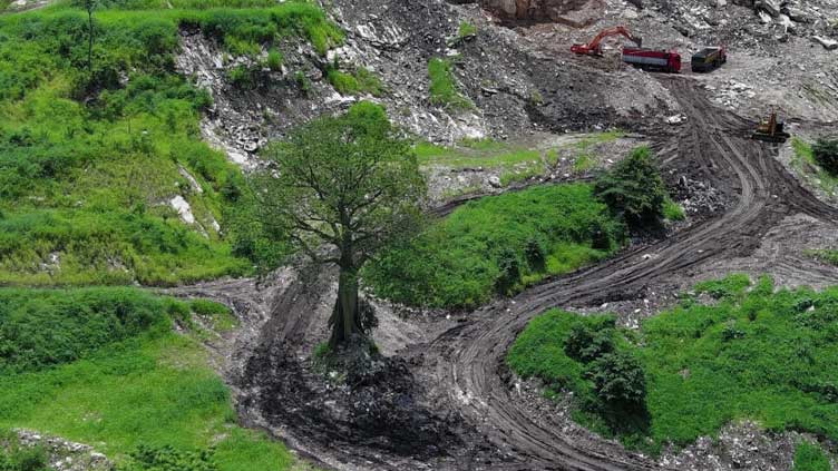 A football pitch of carbon-absorbing tropical forest is lost every five seconds