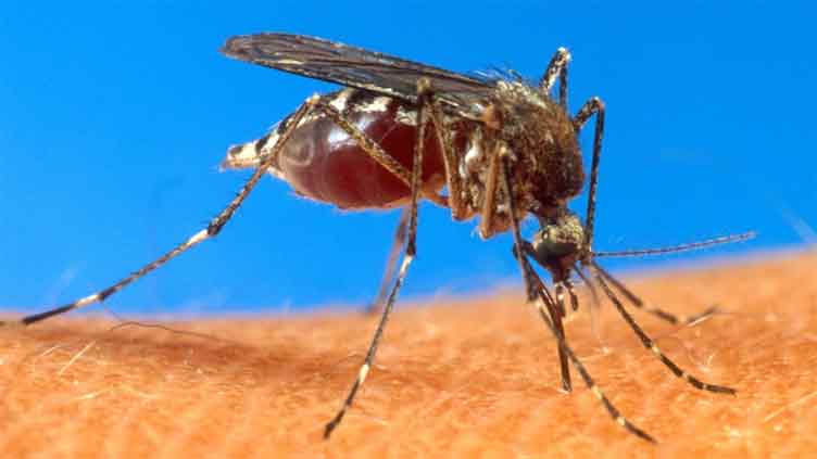 Cyprus battles disease-carrying mosquitoes by breeding them with irradiated, sterilized ones