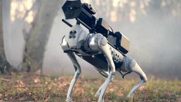 Meet Thermonator, the Flamethrower-Wielding Robot Dog