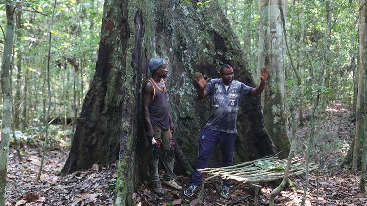 Gabonese village fights to save forest from logging