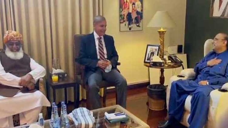 PM, Asif Zardari, Fazl discuss political situation, Punjab's elections