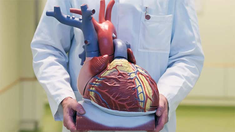 A new therapeutic target for the prevention of heart failure due to aortic stenosis