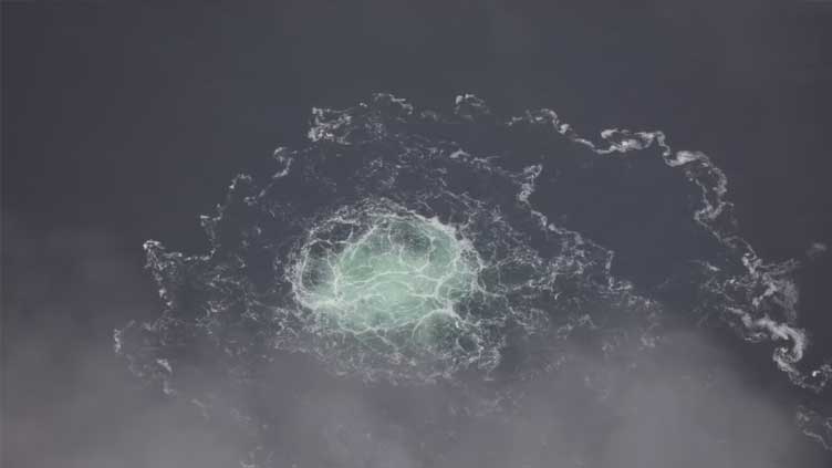  North Korea's state media backs Russian call for probe into pipeline blast