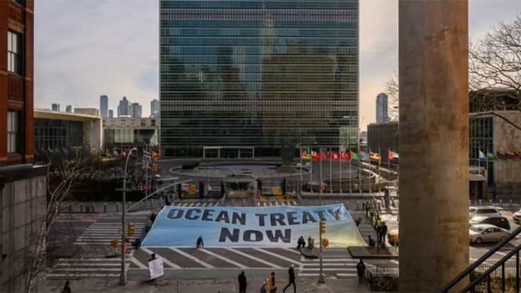 Treaty ahoy! UN states finally agree deal to protect high seas