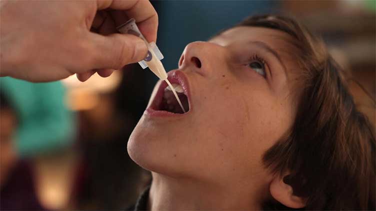 Syria medics launch cholera vaccine campaign in rebel-held northwest