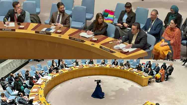 FM calls for monitoring crimes against women in territories under foreign occupation