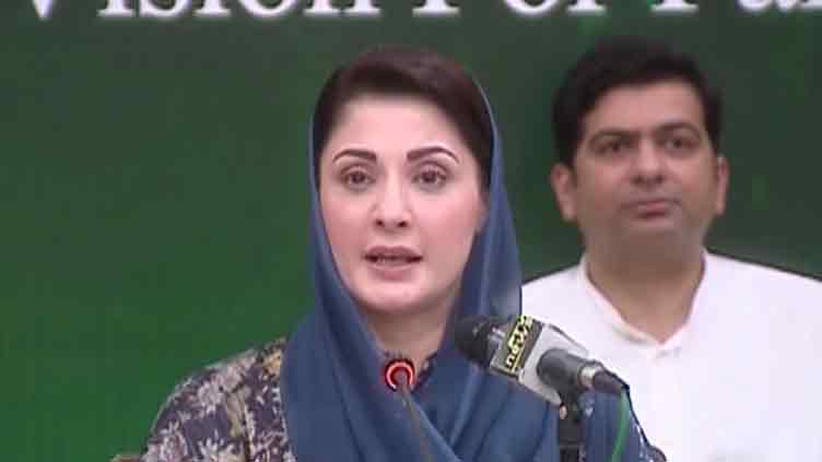 Maryam Nawaz says only PML-N can iron out inflation