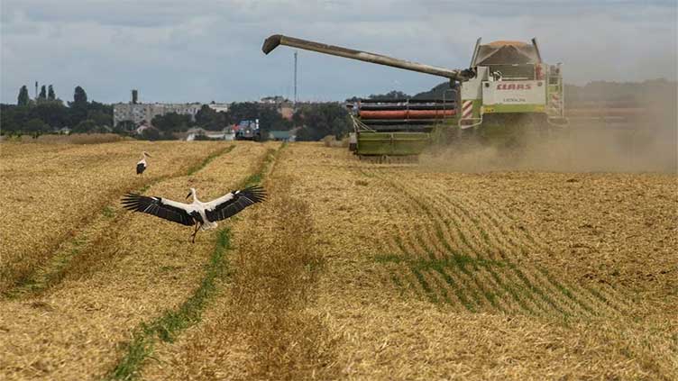 Russia suggests renewing Black Sea grain deal for shorter term