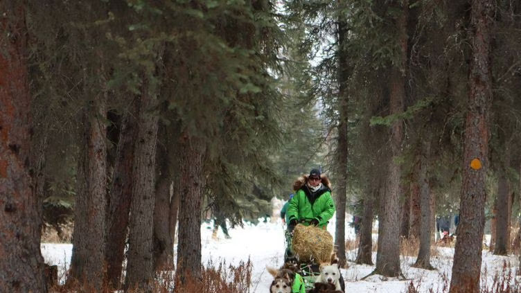 Ryan Redington arrives in Nome, Alaska to win Iditarod sled dog race