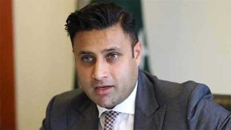Caretaker govt acting as B team of PDM, says Zulfi Bukhari