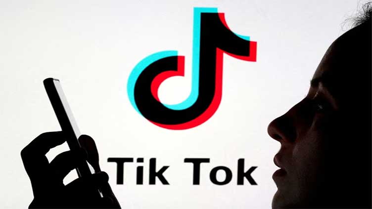 Dutch bureaucrats told to remove TikTok from work phones