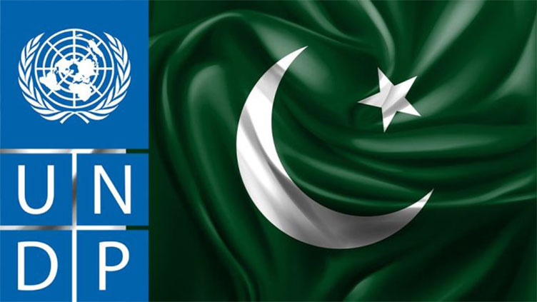 UNDP delegation calls on Ishaq Dar