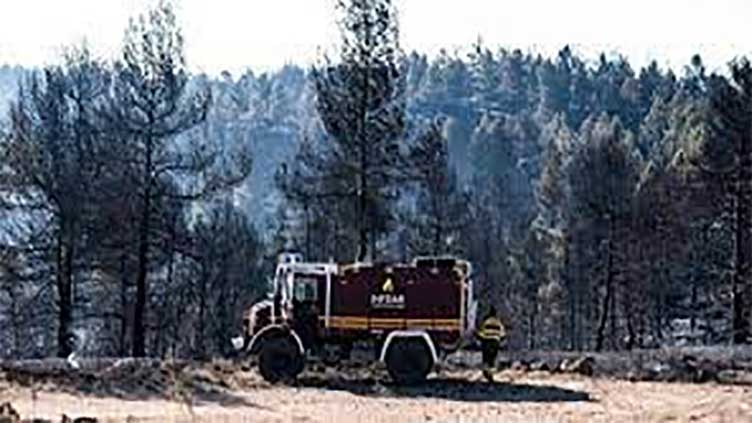 Evacuated villagers tell how Spain's forest fire forced them to leave animals