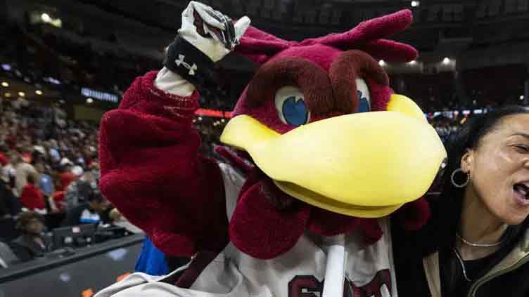 Unbeaten Gamecocks, Iowa's Clark star in women's Final Four