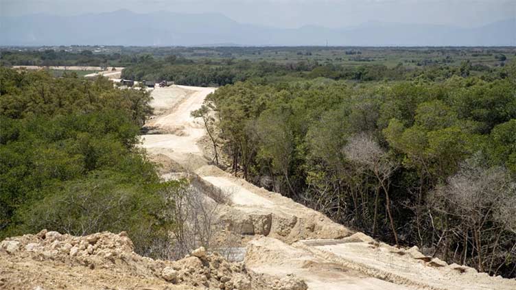 Dominican border wall threatens environment, mangroves