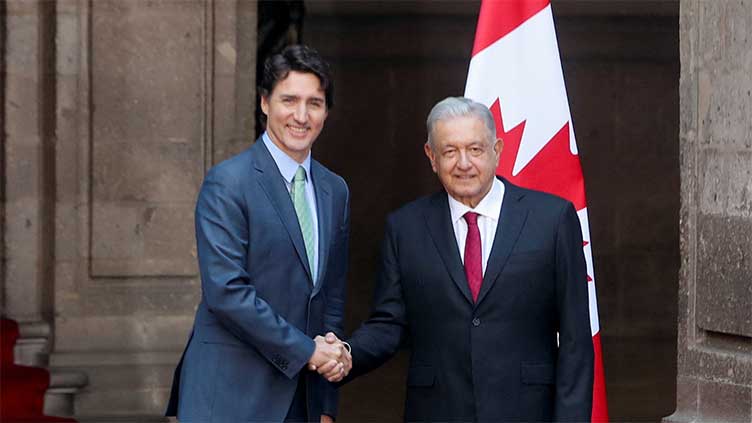 Mexico picks first woman to head electoral body amid political row