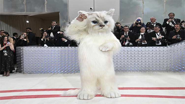 Inside the Met Gala: A furry feline star, a tardy Cinderella ...