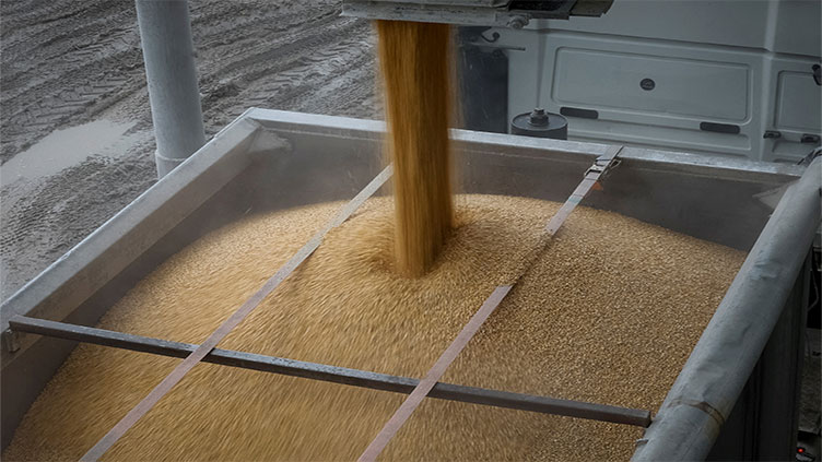 Russia, Ukraine, Turkey and UN to discuss grain deal on Friday