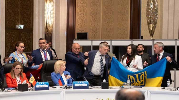 Ukraine delegate punches Russian at Black Sea nations assembly in Ankara