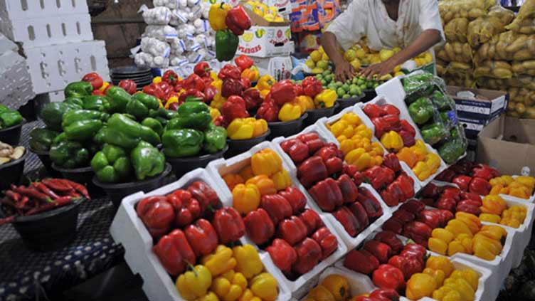 World food prices rise for first time in a year: FAO