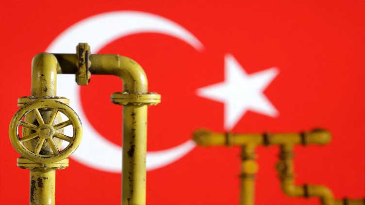 Turkey defers $600 million Russian energy payment under deal