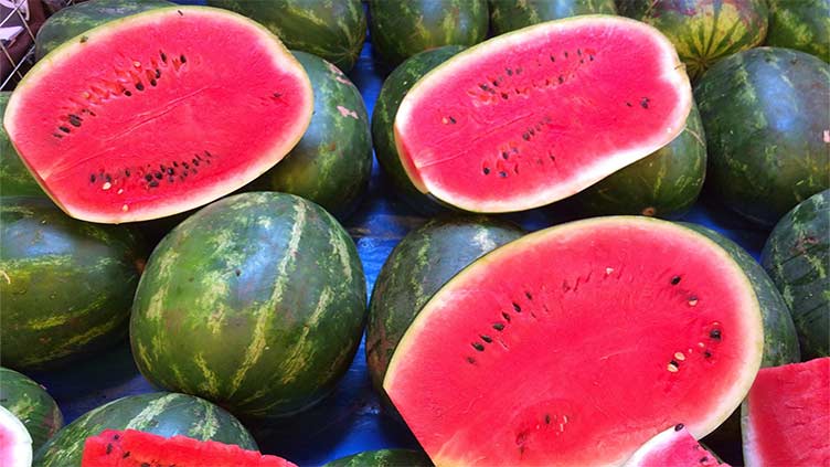 Watermelons may improve diet quality and cardiometabolic health