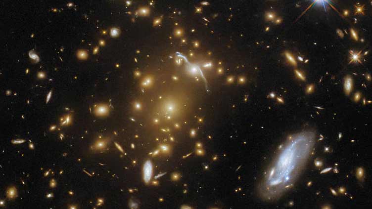 Hubble captures a light-bending galaxy cluster