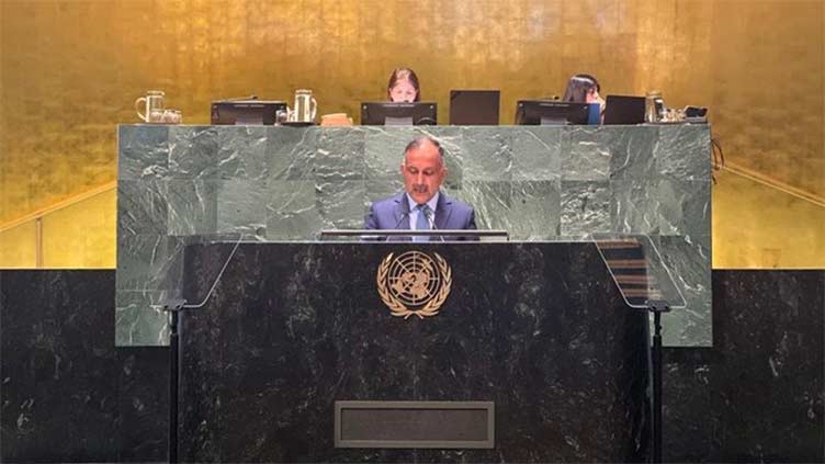 At UN, Pakistan reaffirms commitment to reduce disaster risk, build resilience